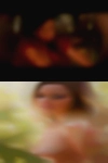 Local nude girls sucking cock