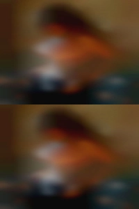 Mellisentlodge, want to fuck